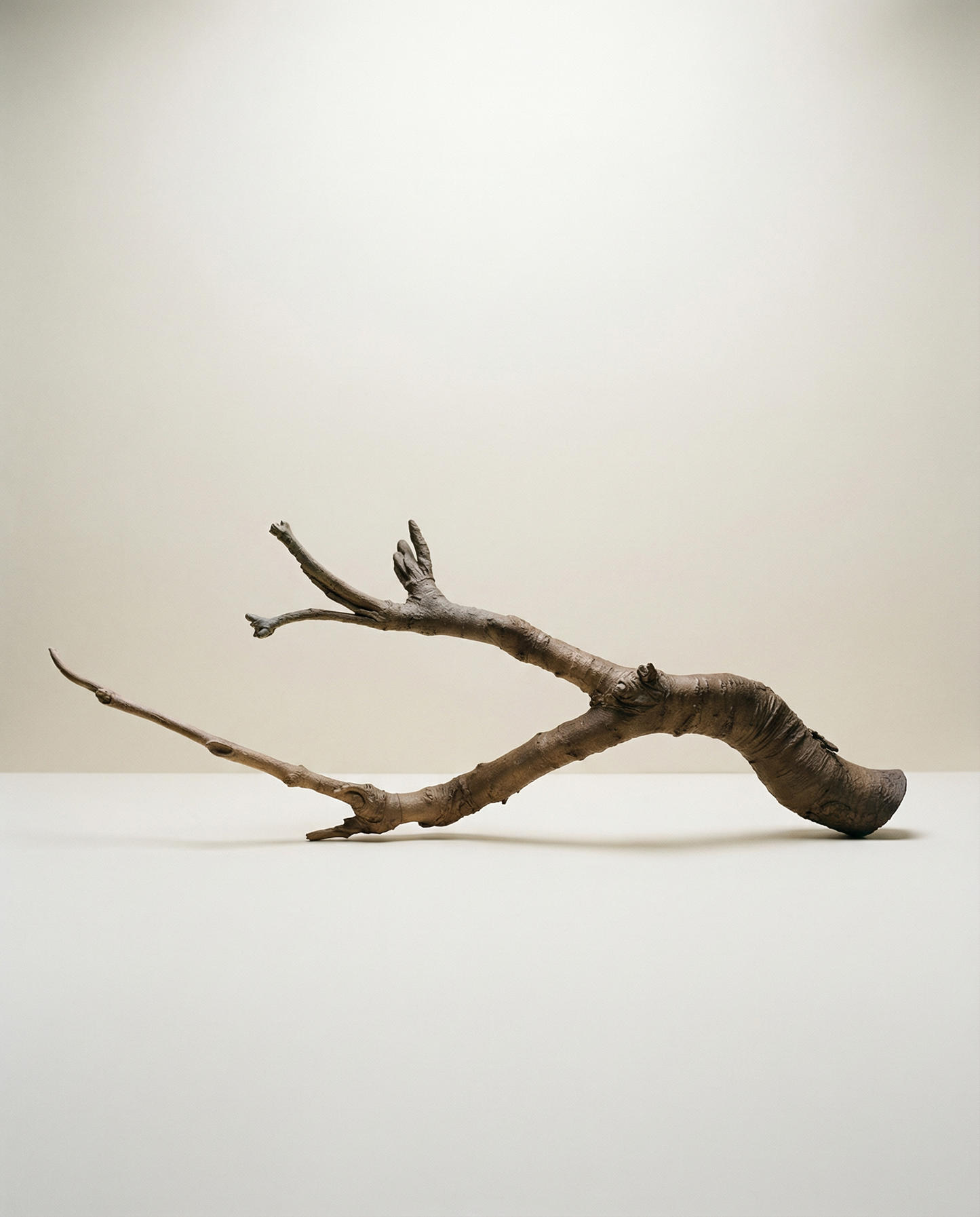 On Rooting - Bronze Sculpture by Julie Lænkholm