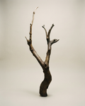 On Rooting - Bronze Sculpture by Julie Lænkholm