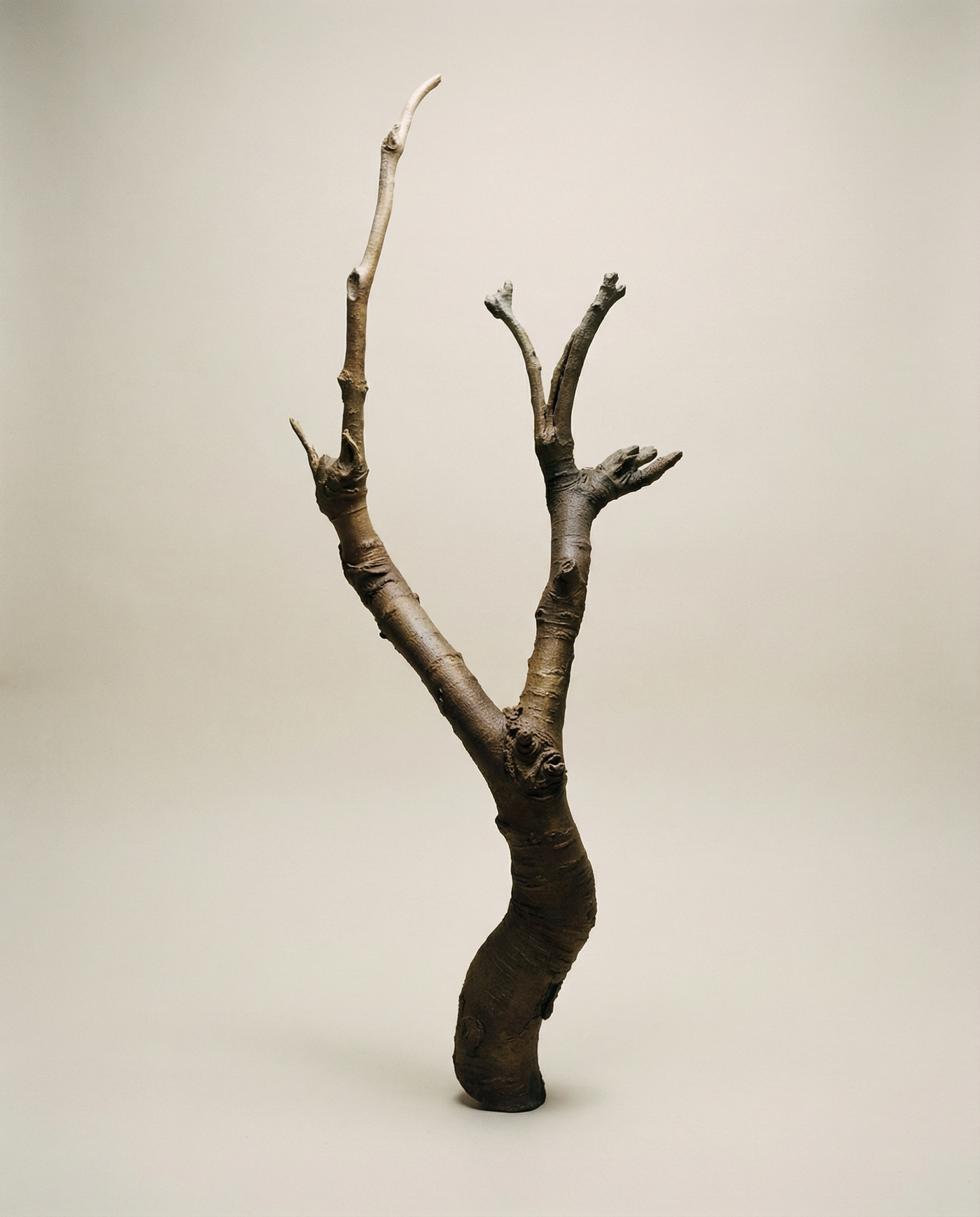 On Rooting - Bronze Sculpture by Julie Lænkholm