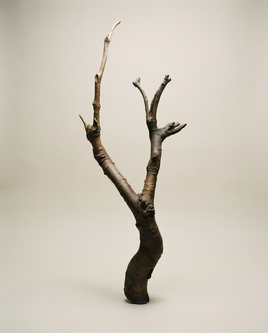 On Rooting - Bronze Sculpture by Julie Lænkholm