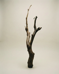 On Rooting - Bronze Sculpture by Julie Lænkholm