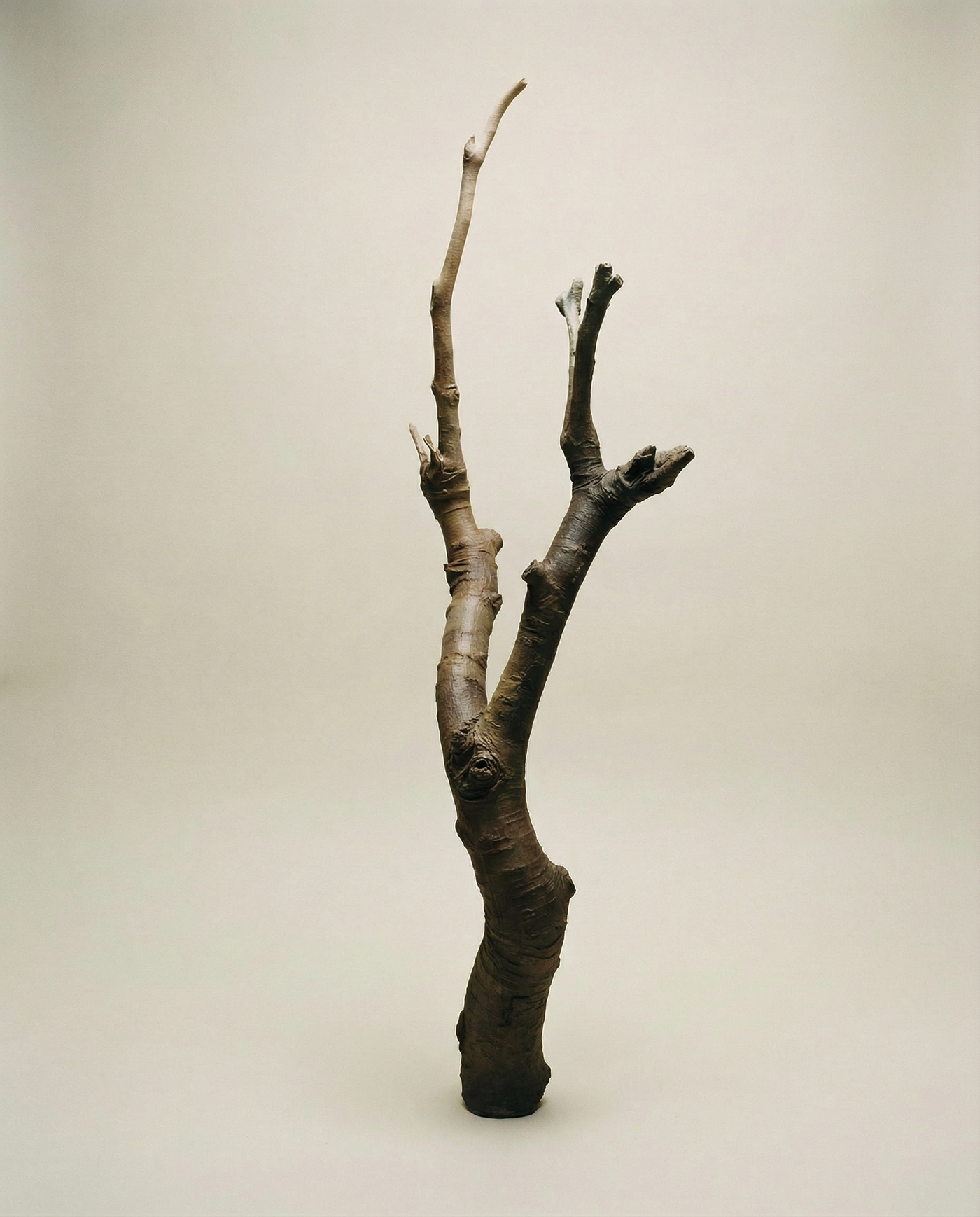 On Rooting - Bronze Sculpture by Julie Lænkholm
