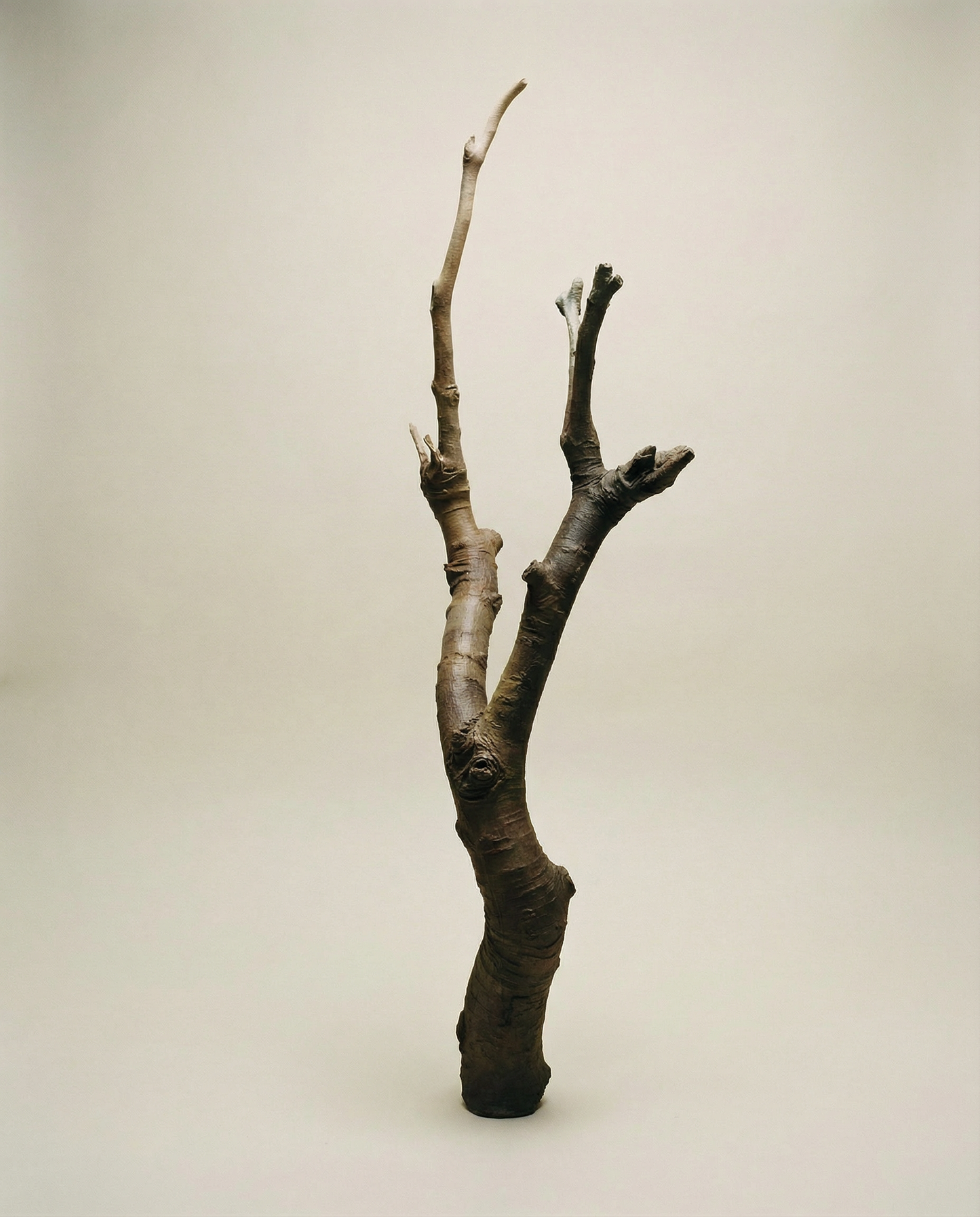 On Rooting - Bronze Sculpture by Julie Lænkholm