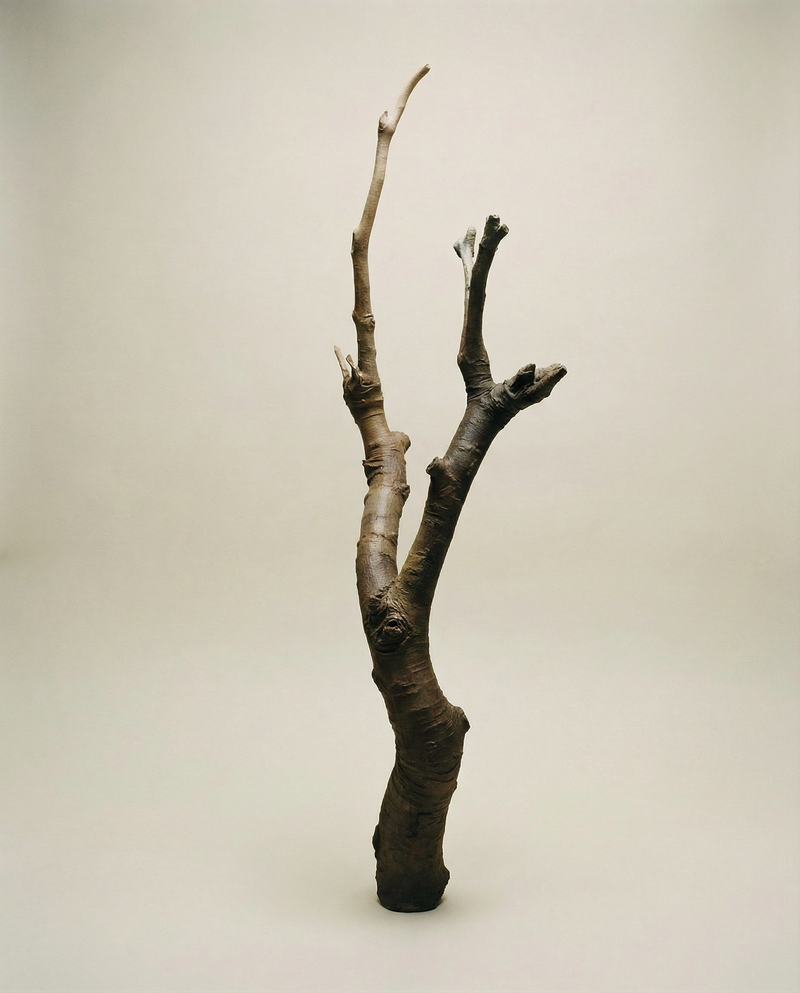 On Rooting - Bronze Sculpture by Julie Lænkholm