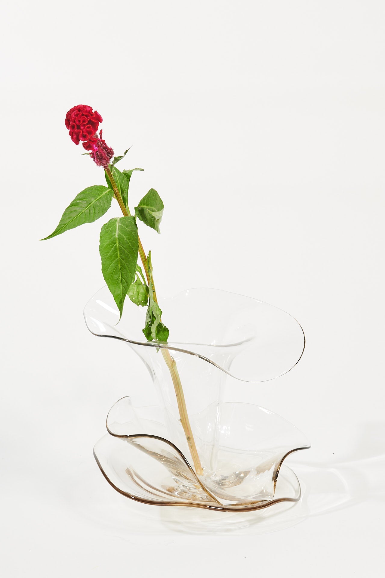 Cortado Doble - Glass Sculpture by Andrés Reisinger
