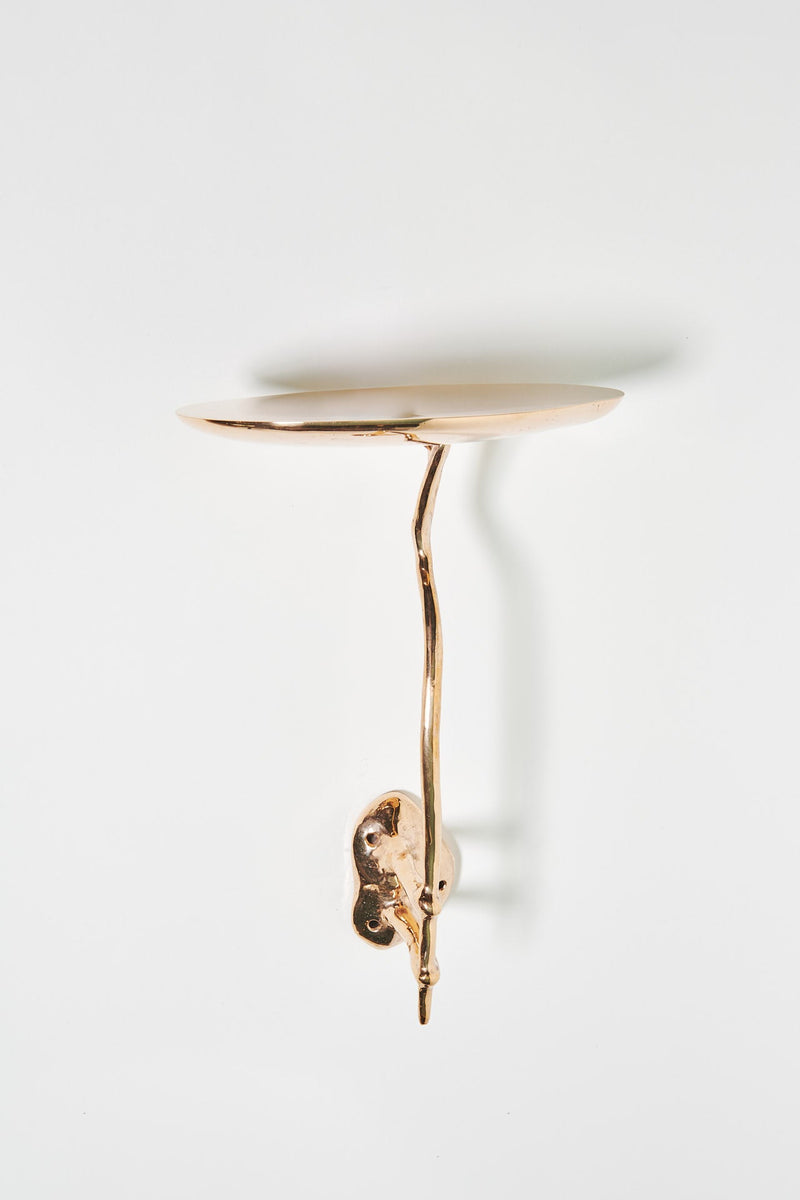 Pinea Shelf - Bronze Shelf by Willem van Hooff