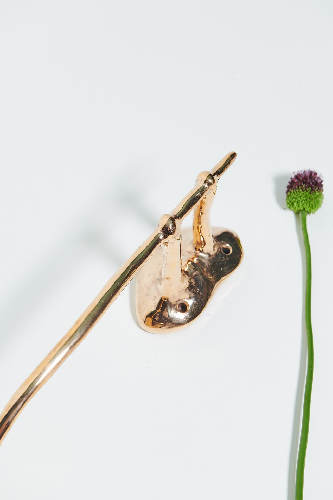 Pinea Shelf - Bronze Shelf by Willem van Hooff