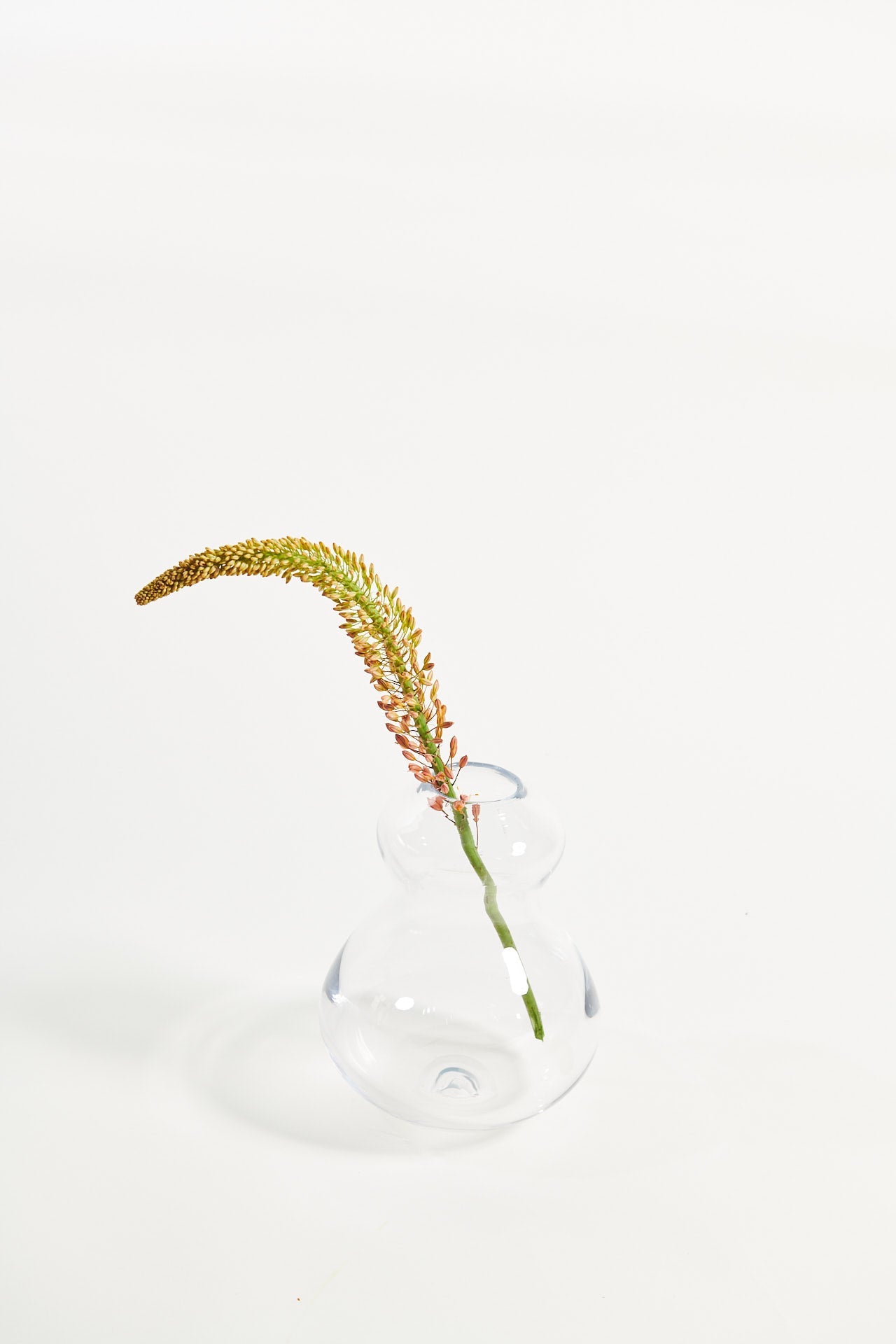 Alchemist Vase - Glass Vase by Cathrine Raben Davidsen