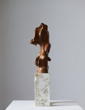 Protected by Bjørn Magnussen, brown patinated bronze