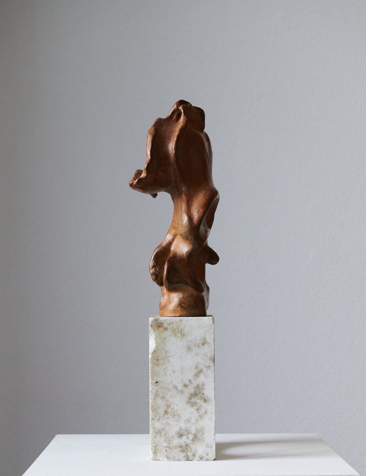 Protected by Bjørn Magnussen, brown patinated bronze