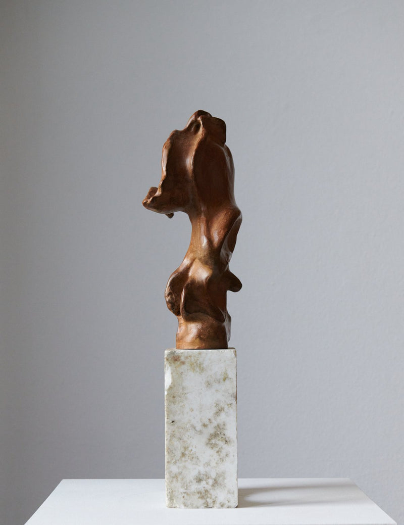 Protected by Bjørn Magnussen, brown patinated bronze