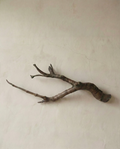On Rooting - Bronze Sculpture by Julie Lænkholm