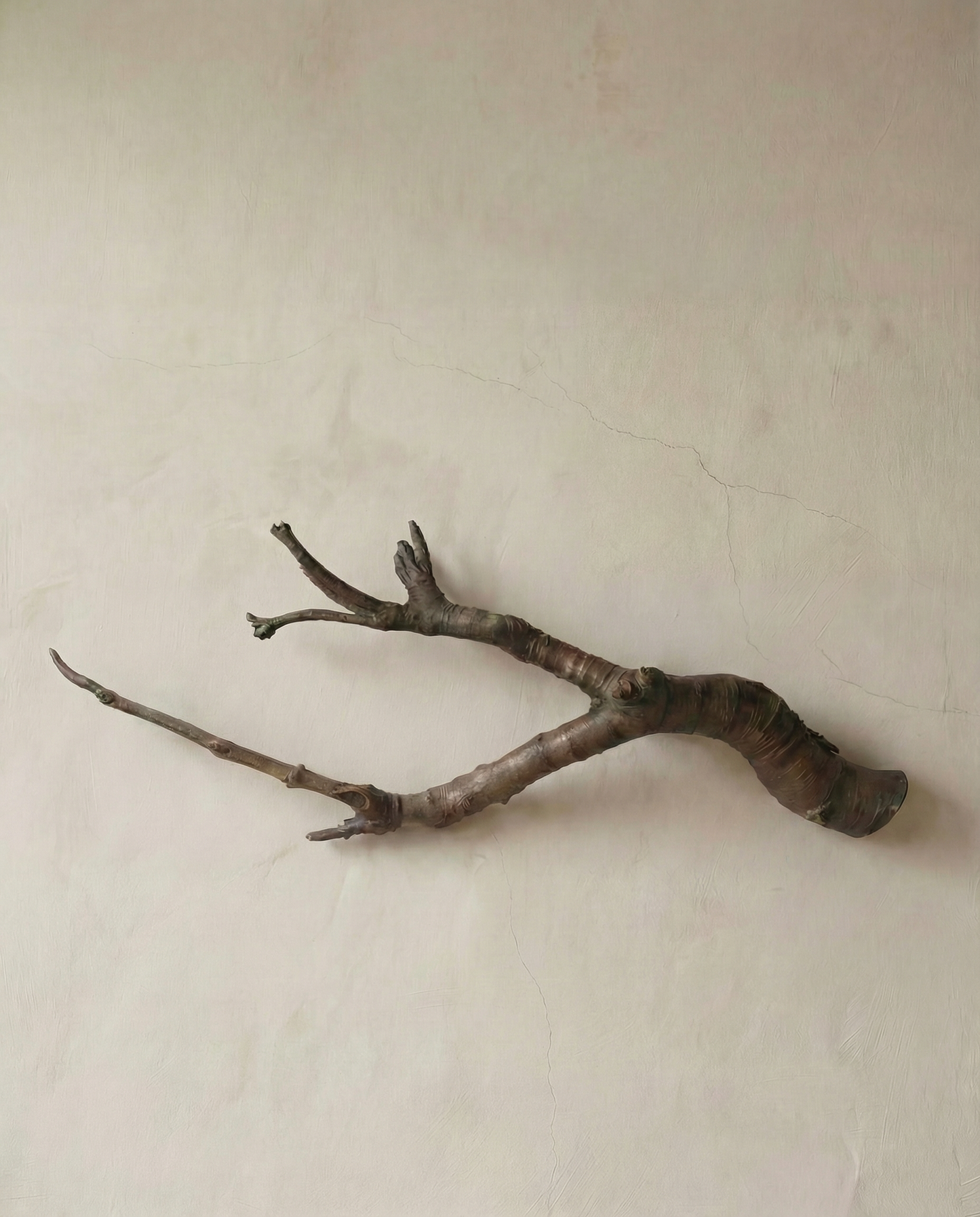 On Rooting - Bronze Sculpture by Julie Lænkholm
